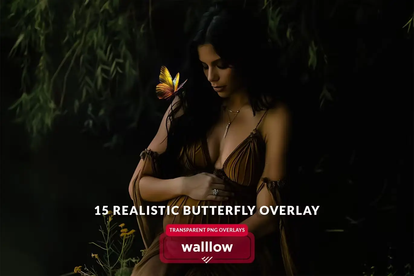 Butterfly png and moth png transparent overlays