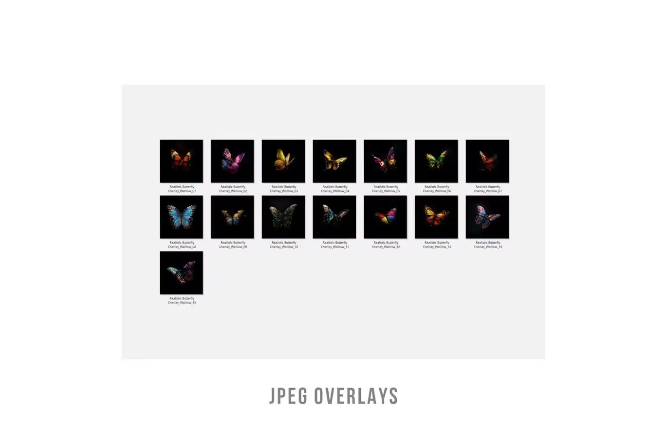 Butterfly png and moth png transparent overlays 4 butterfly png and moth png transparent overlays3