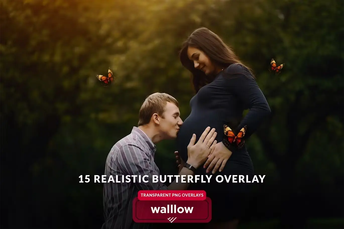 Butterfly png and moth png transparent overlays 6 butterfly png and moth png transparent overlays5