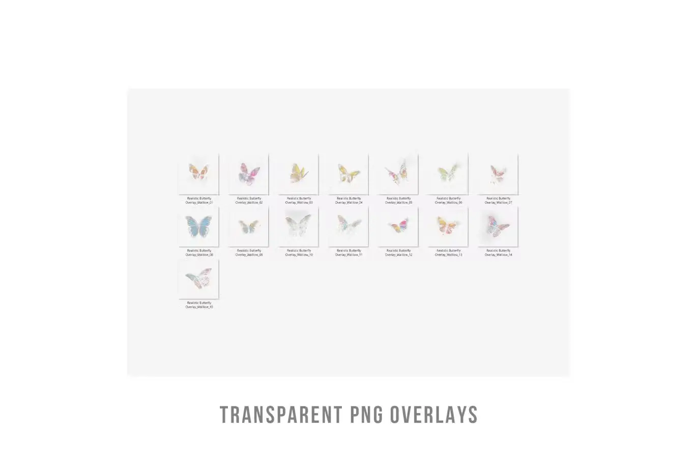 Butterfly png and moth png transparent overlays 7 butterfly png and moth png transparent overlays6
