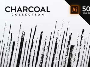 charcoal collection 2