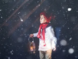 christmas snow photo overlays03