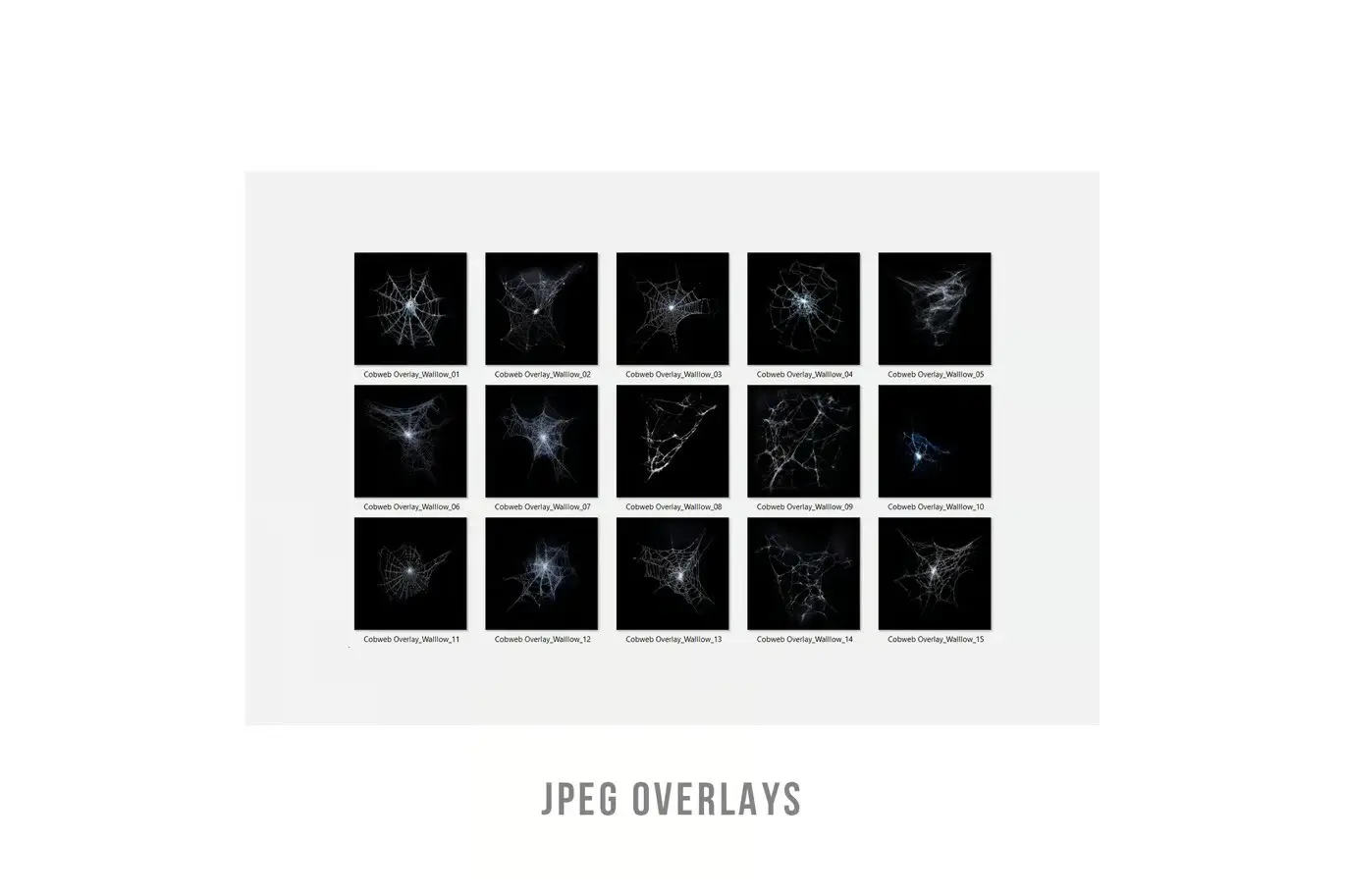 Cobweb Halloween Overlays Transparent PNG