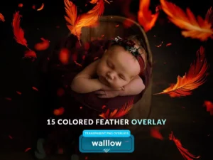 colorful feathers transparent png photo overlays1