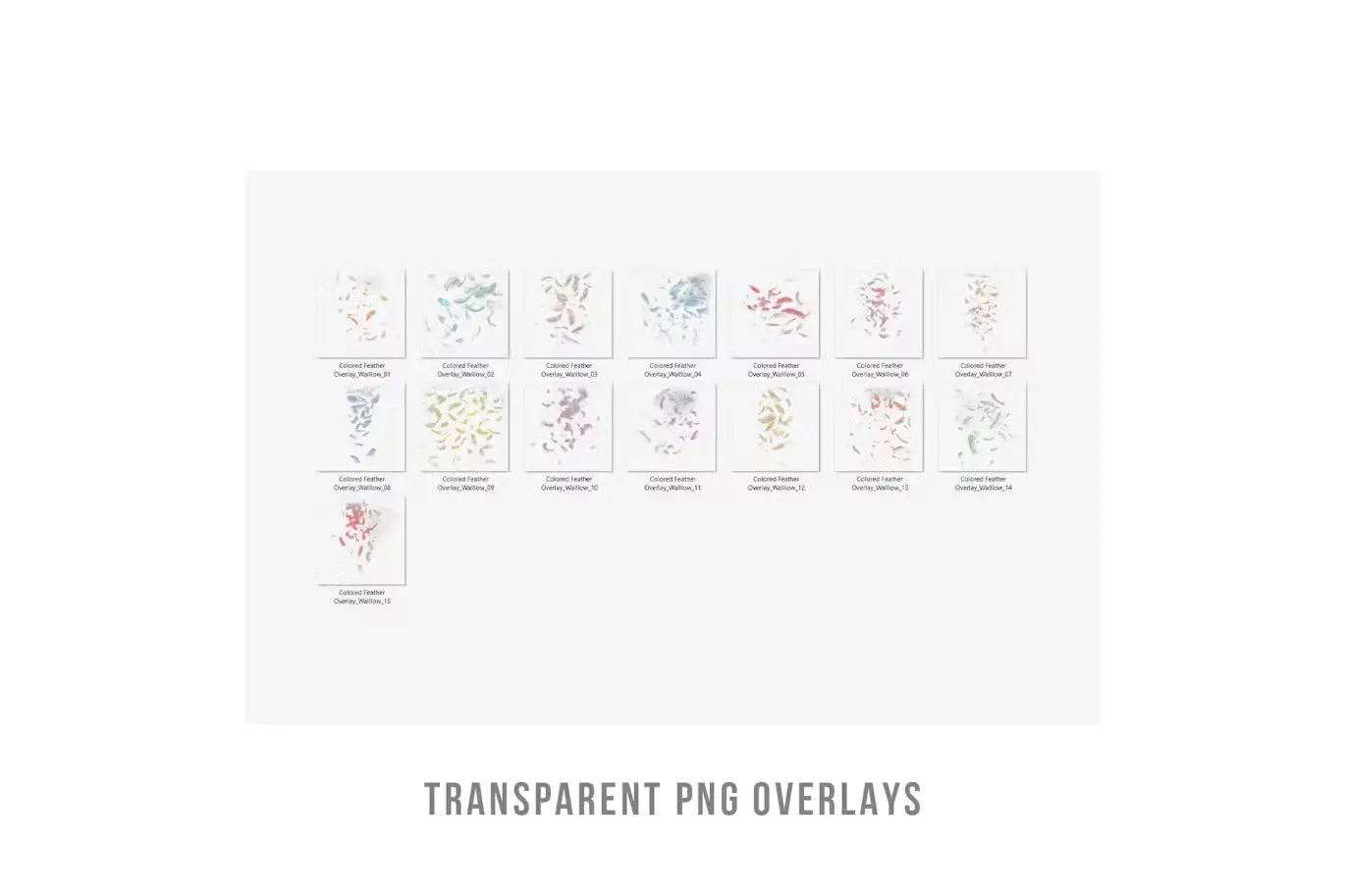 Colorful feathers transparent png photo overlays 3 colorful feathers transparent png photo overlays2