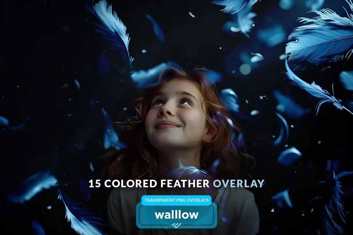 Colorful feathers transparent png photo overlays 5 colorful feathers transparent png photo overlays4
