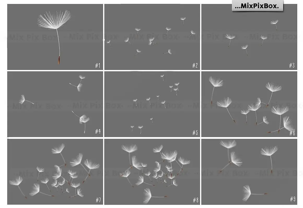 Dandelion Overlays