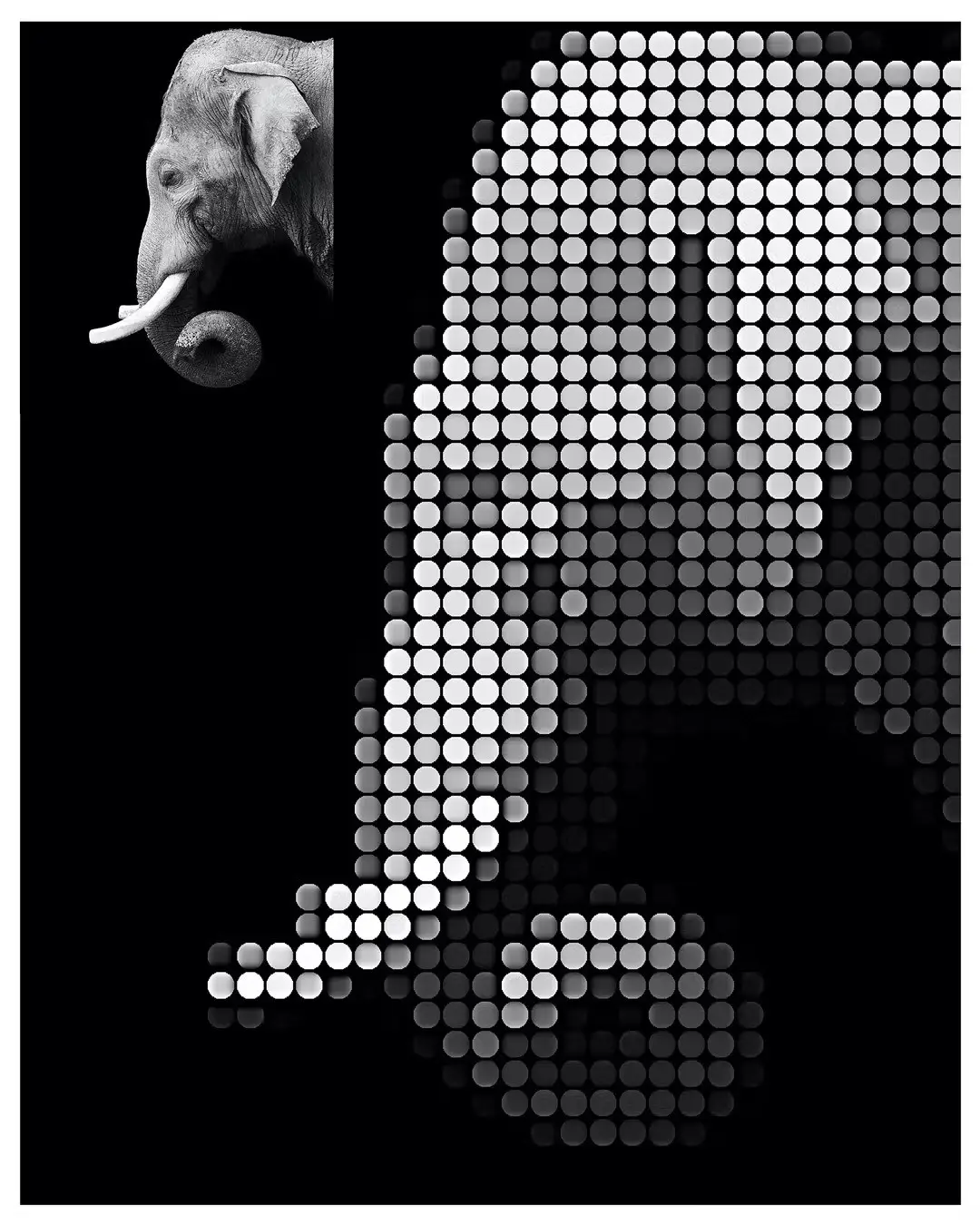 Dot Creator - Photoshop Action
