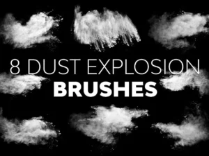 dust explosion brushes1