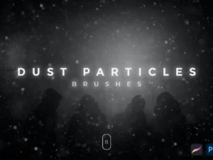 dust particles brushes1