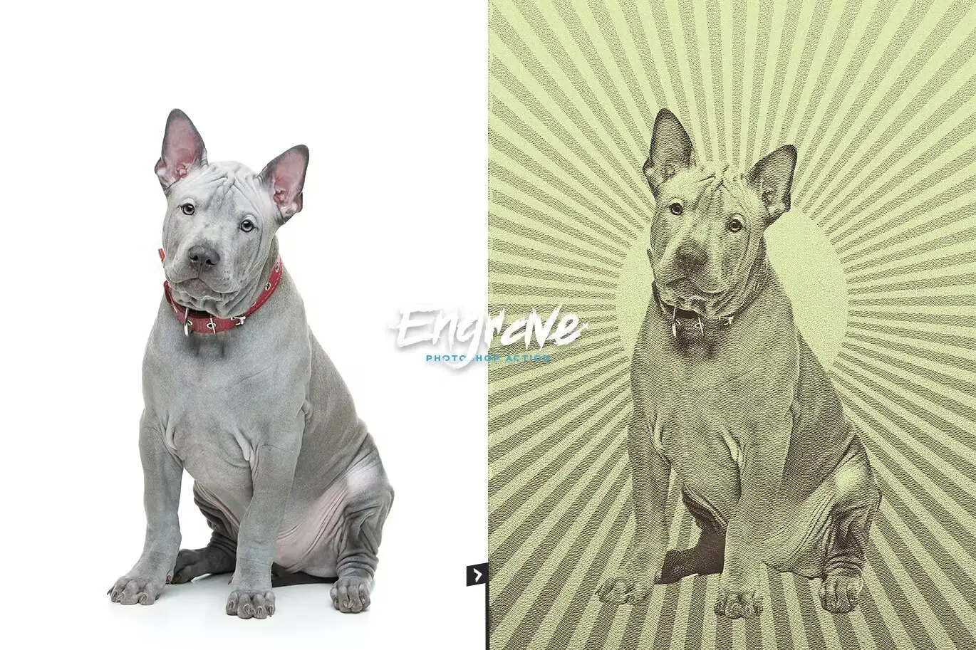 Engrave Photoshop Action Kit - & Duotone FX 4 engrave photoshop action kit duotone fx2