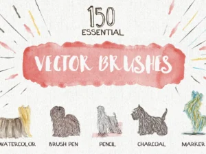 essential vector brushes collection1