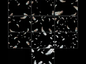 feather overlays2