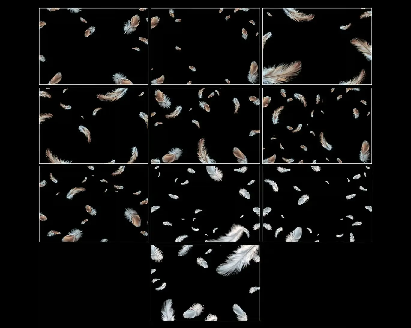 Feather Overlays