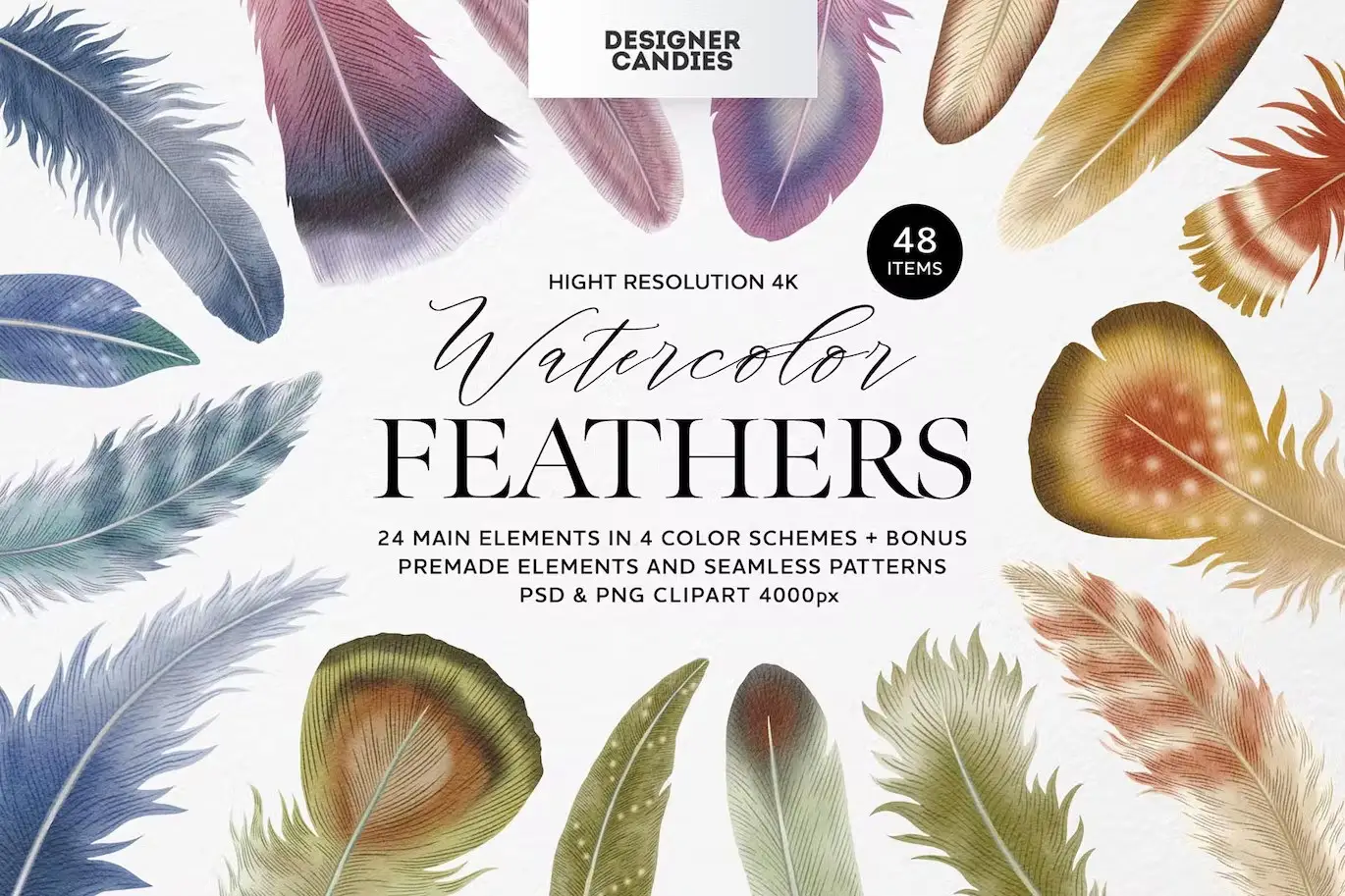 Feathers Watercolor Clipart