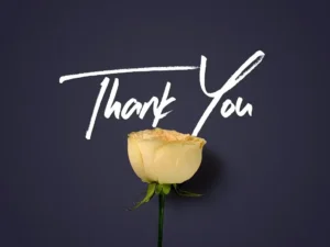 flower boom graphic pack2