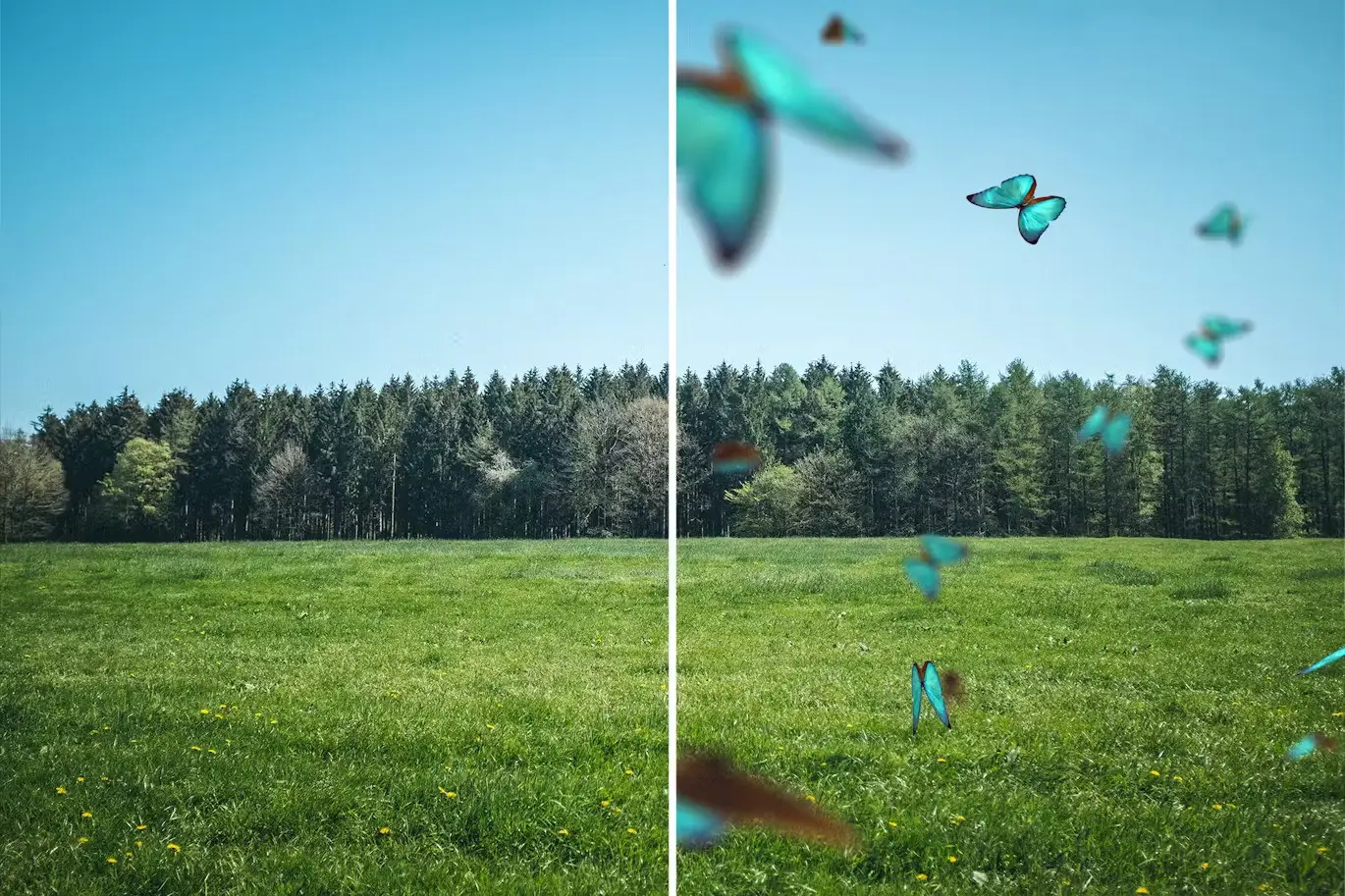 Flying Butterflies Overlays 3 flying butterflies overlays2