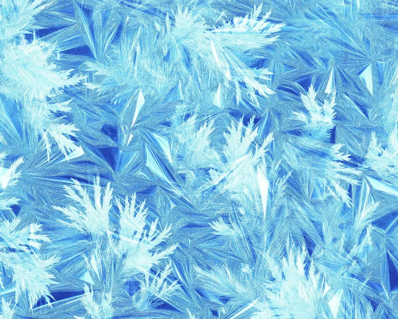 Frost Pattern Backgrounds