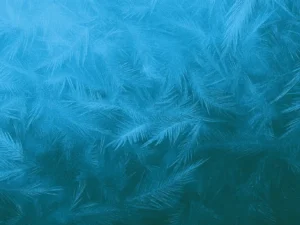 frozen grunge backgrounds3