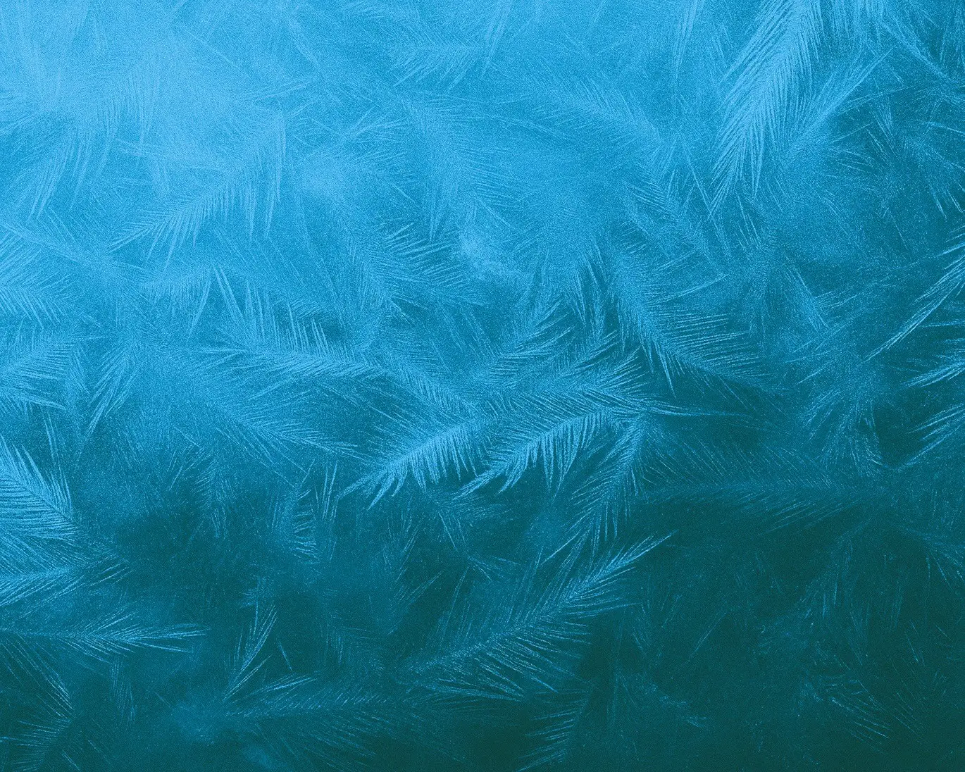Frozen Grunge Backgrounds