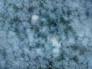 frozen winter backgrounds04