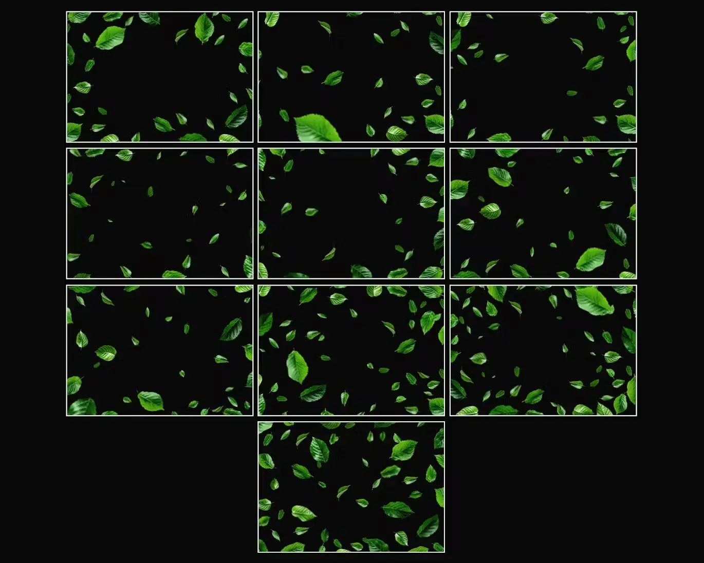 Green Leaves Overlays