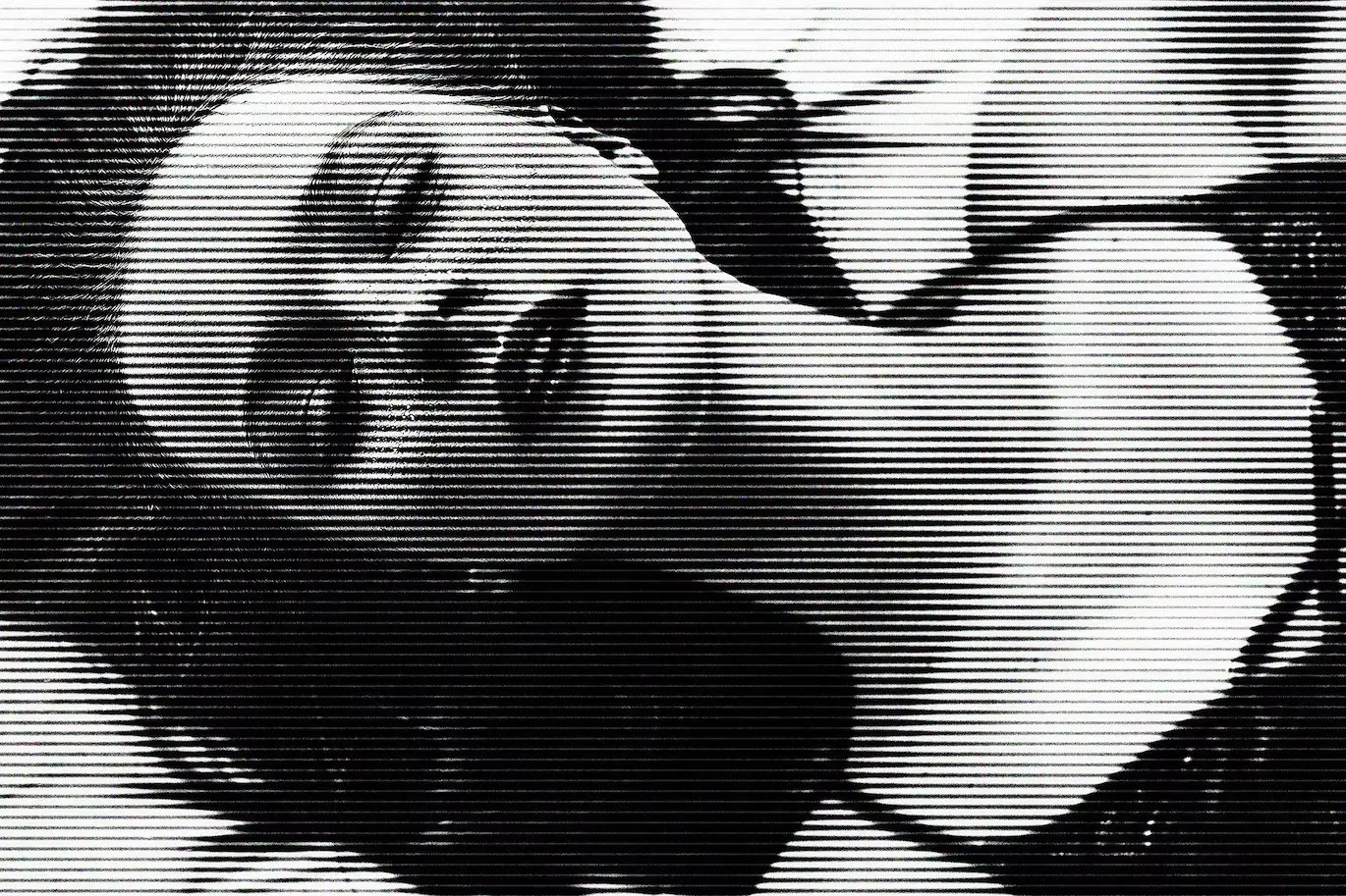 Halftone Patterns Photo Effect