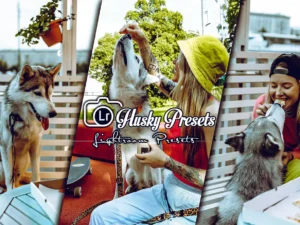 husky lightroom presets mobile and desktop