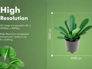 indoor plant 3d icon set2