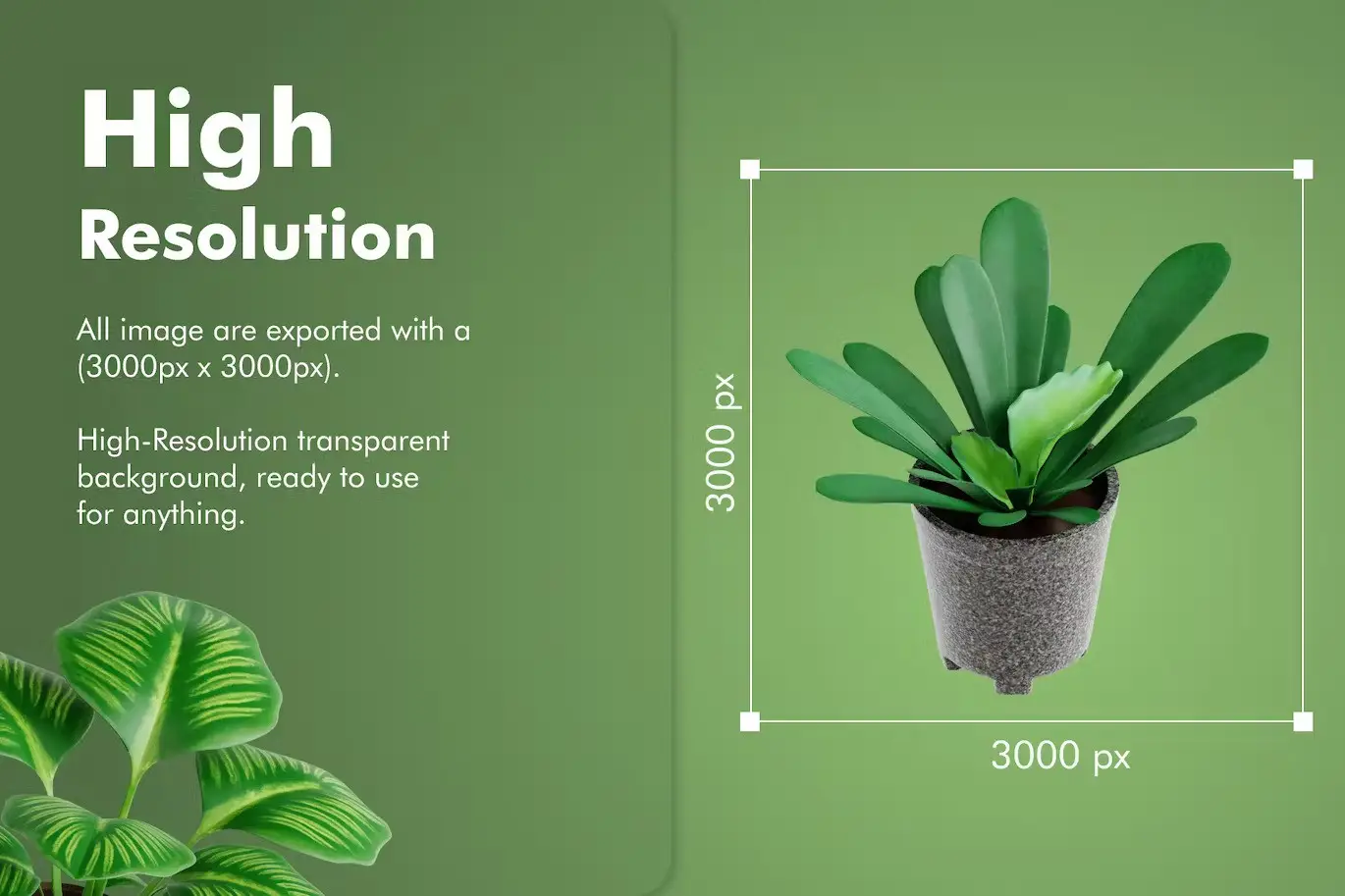 Indoor Plant - 3D Icon Set