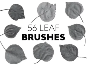 leaf brushes1