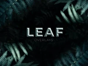 leaf overlays1