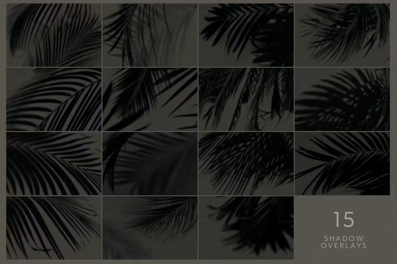 Leaves Shadow Overlays 5 leaves shadow overlays4
