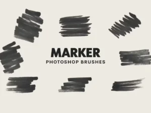 marker brushes1