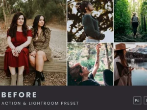 moody tones action lightroom preset 1