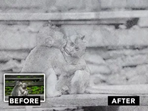 pencil sketch photo effect2