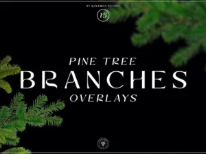pine tree branches overlays1