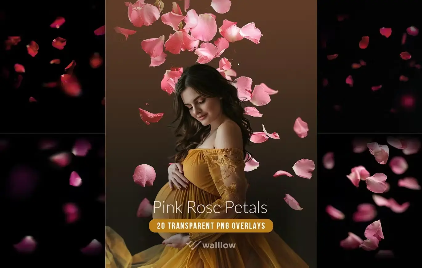 Pink rose flower petals transparent PNG overlays 7 pink rose flower petals transparent png overlays6