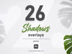 plant shadow overlays1