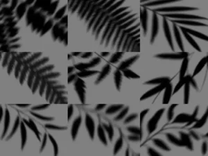 plant shadows pack1