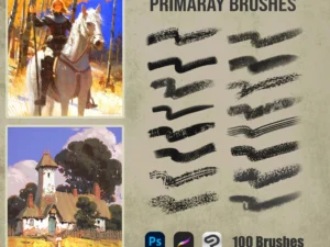 primary brushes raja nandepu