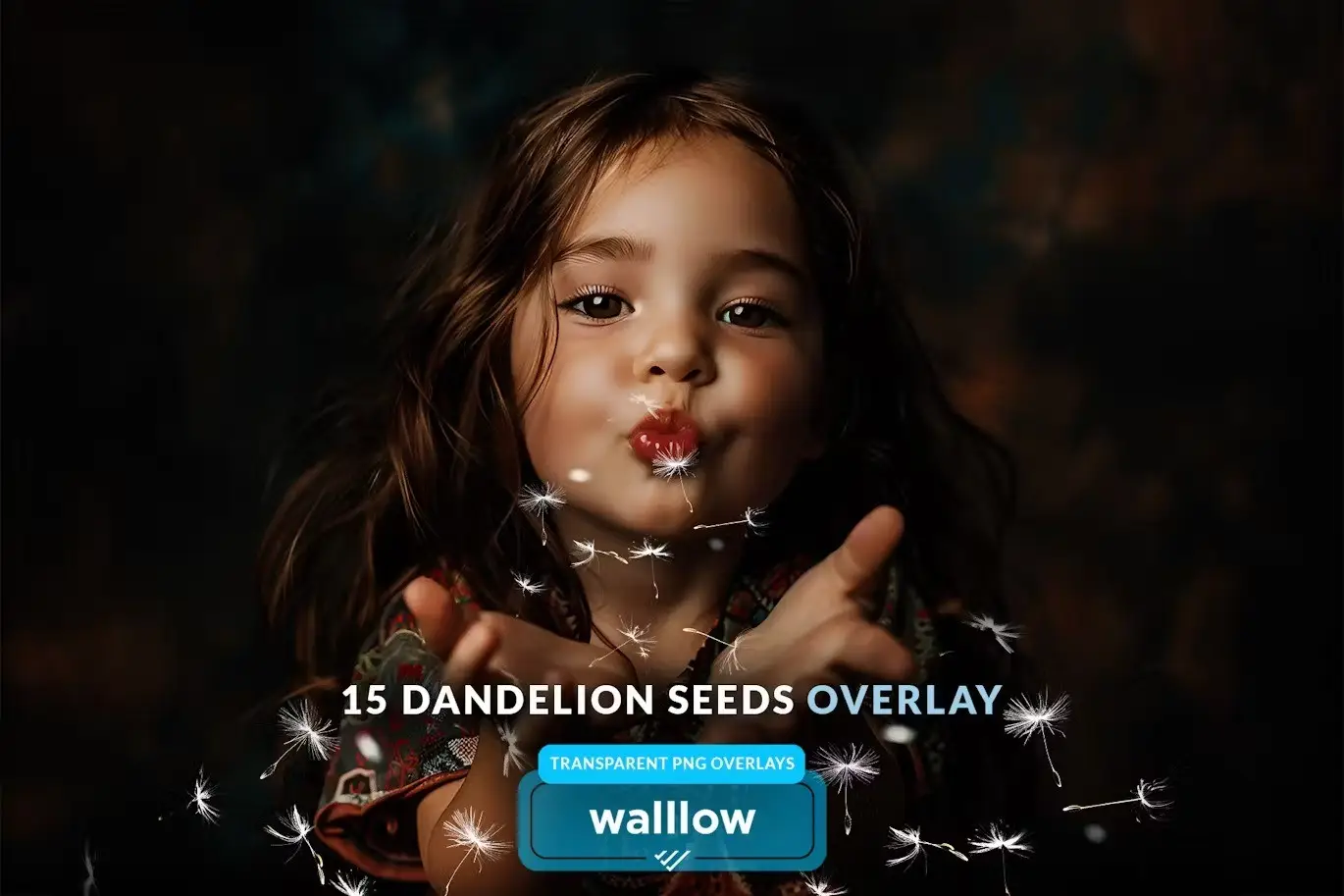 Blowing dandelion flowers transparent png overlays 8 realistic dandelion png transparent overlays07