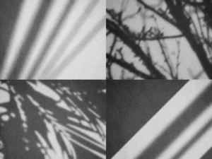 realistic shadow mock up collection4