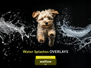 realistic water splashes transparent png overlays1