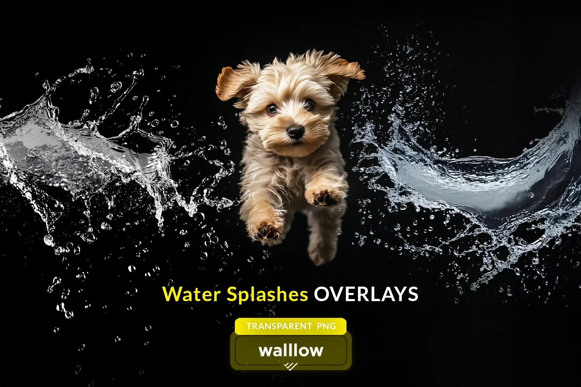 Realistic Water Splashes Transparent PNG Overlays