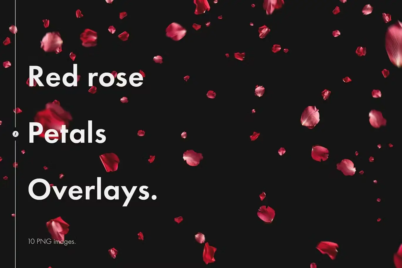 Red Rose Petals Overlays