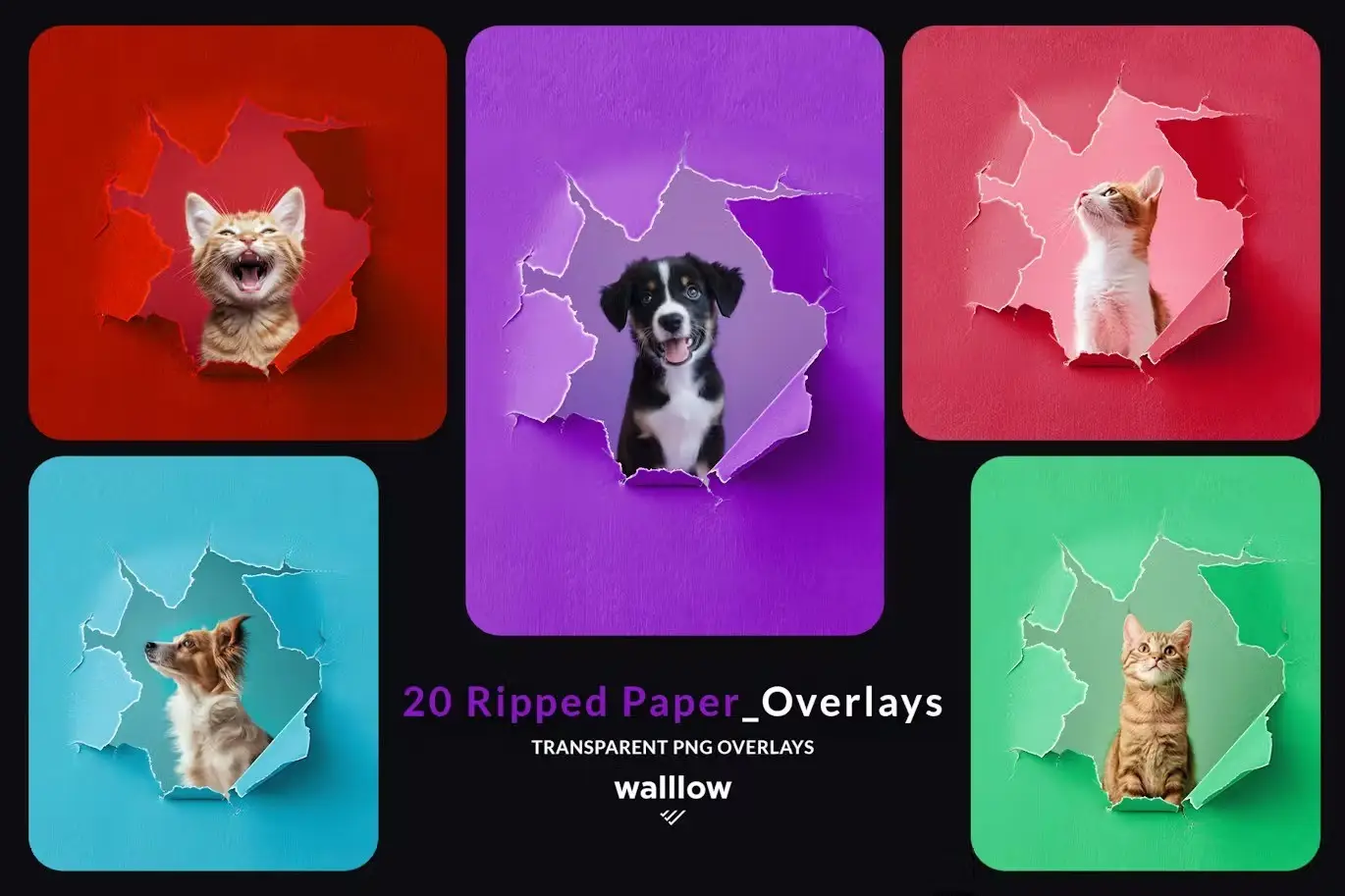 Ripped paper png transparent photoshop overlays 5 ripped paper png transparent photoshop overlays4