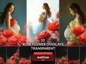 rose flower transparent png photoshop overlays1