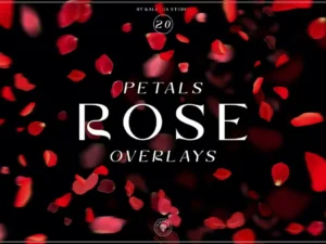 rose petals overlays1