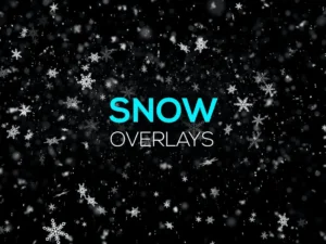 snow and snowflakes overlays1